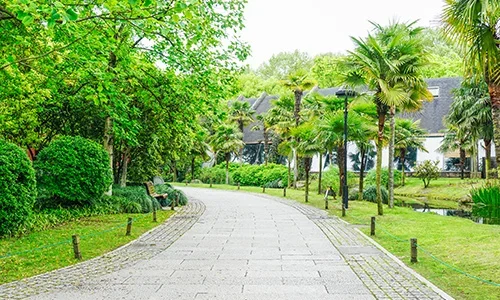 project_overview_img